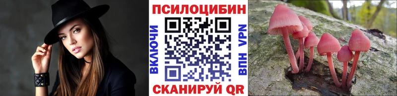 Галлюциногенные грибы Psilocybe  Высоковск 